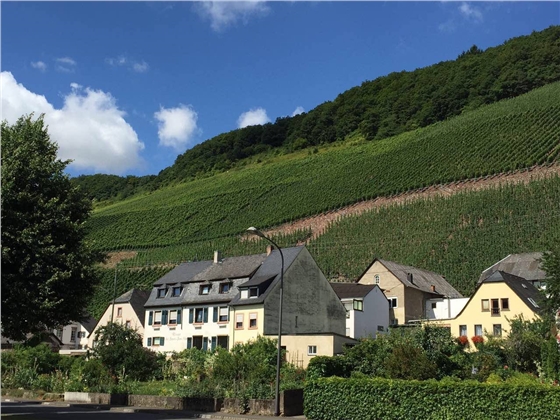 余教授德國鄉(xiāng)村行：雷司令葡萄酒產(chǎn)業(yè)對中國水果產(chǎn)業(yè)有啟示嗎？