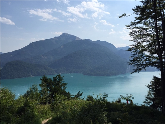 余教授奧地利鄉村行：萬(wàn)科為什么說(shuō)把奧地利小鎮搬回來(lái)？