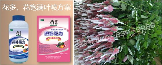 花卉也需要微補嗎？