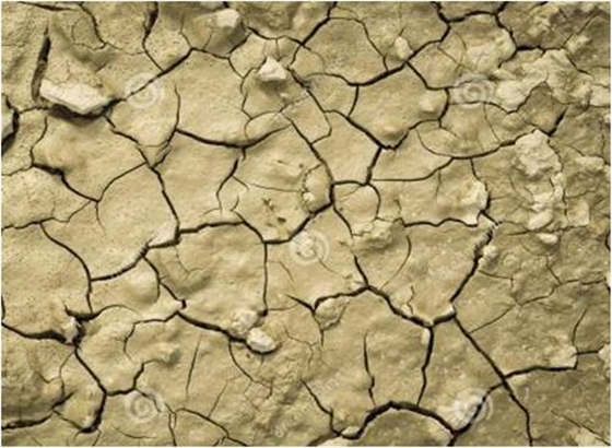 土壤表面結(jié)皮 土壤表面結(jié)皮