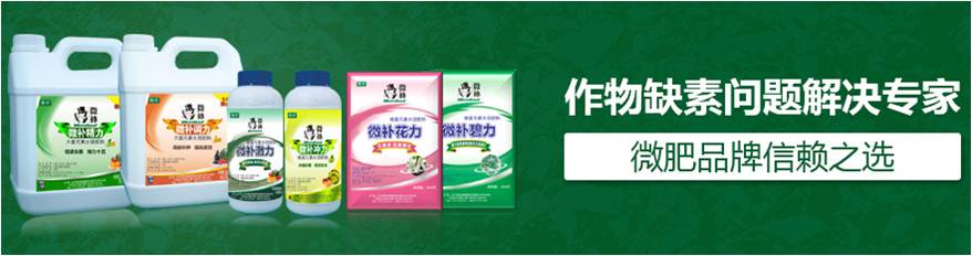 #微肥課堂#為什么葉面肥養分含量相同，效果卻不同？