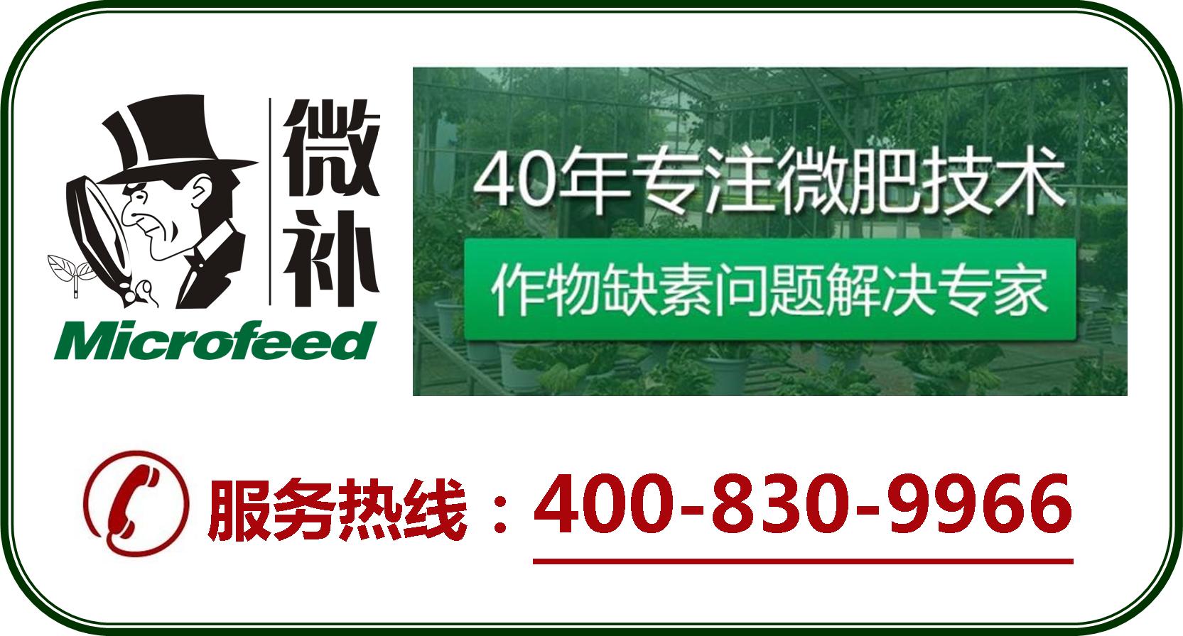 余教授德國鄉村行：摩澤爾河的葡萄魅力在哪兒？