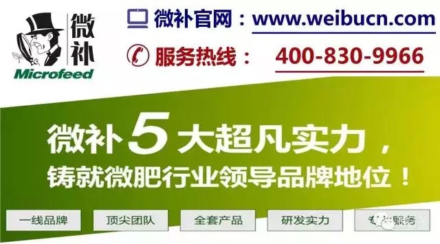 余教授奧地利鄉村行：萬(wàn)科為什么說(shuō)把奧地利小鎮搬回來(lái)？