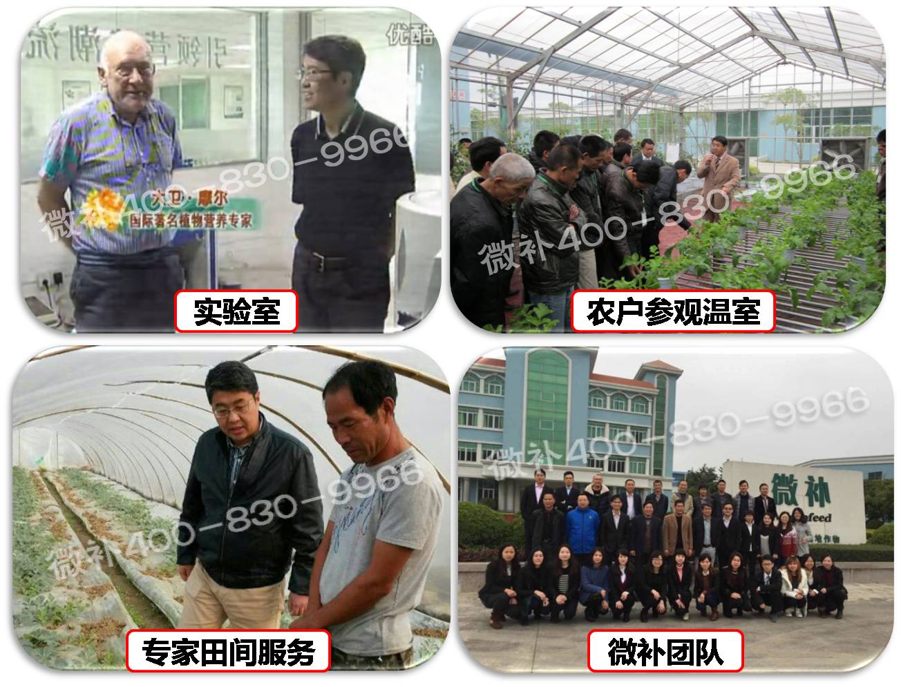 余教授奧地利維也納行：不懂音樂(lè )的農民教授，在音樂(lè )之都的感受
