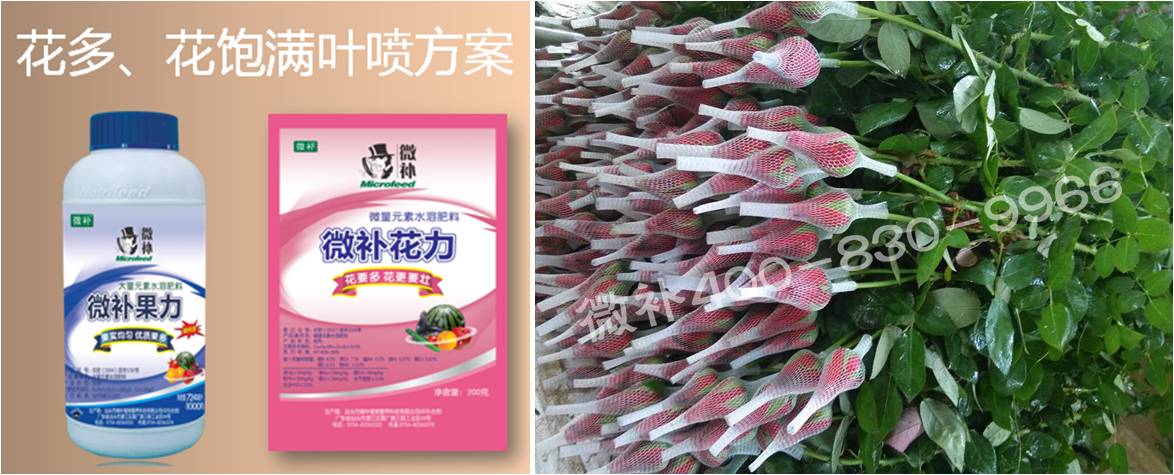 花卉也需要微補嗎？