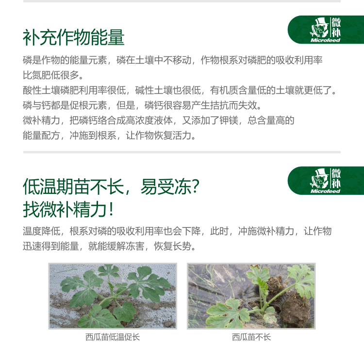 微補(bǔ)精力1_02.jpg 微補(bǔ)精力1_02.jpg