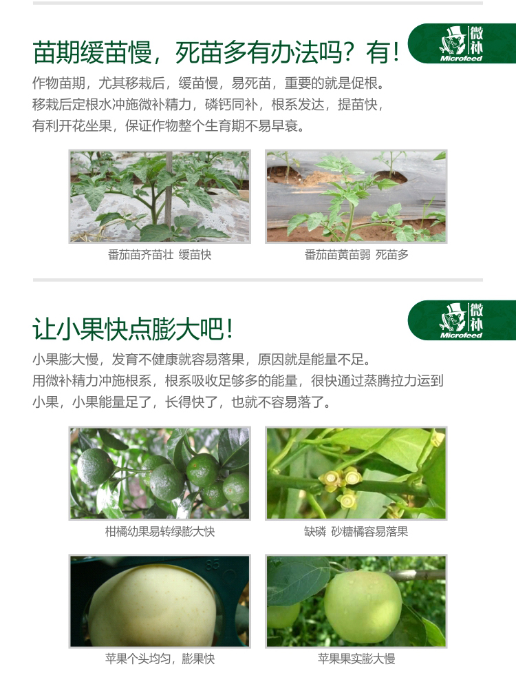 微補(bǔ)精力1_03.jpg 微補(bǔ)精力1_03.jpg