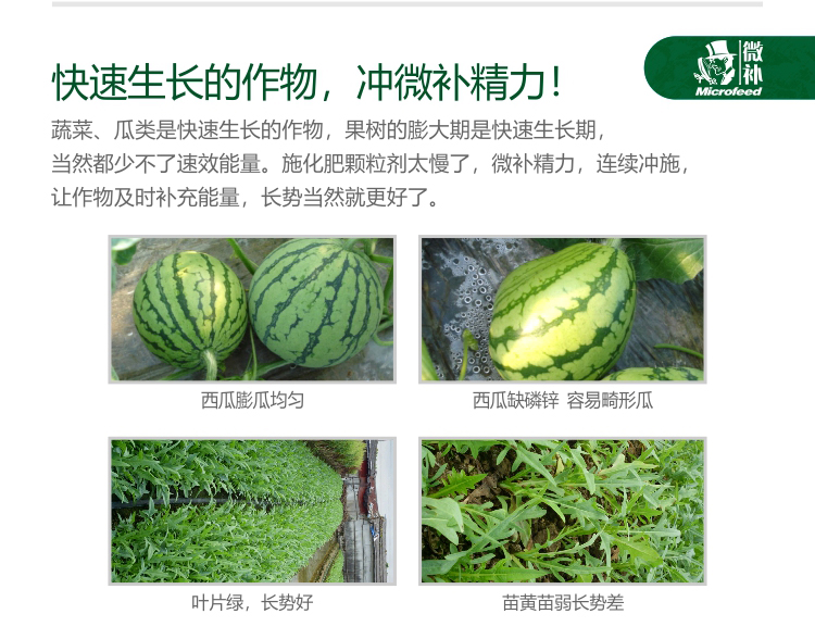 微補(bǔ)精力1_04.jpg 微補(bǔ)精力1_04.jpg