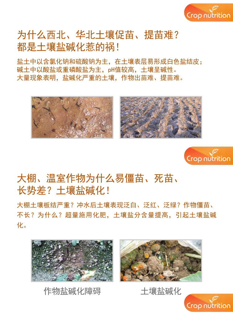 因迪樂有機鹽堿土調(diào)理水溶肥1_02.jpg 因迪樂有機鹽堿土調(diào)理水溶肥1_02.jpg