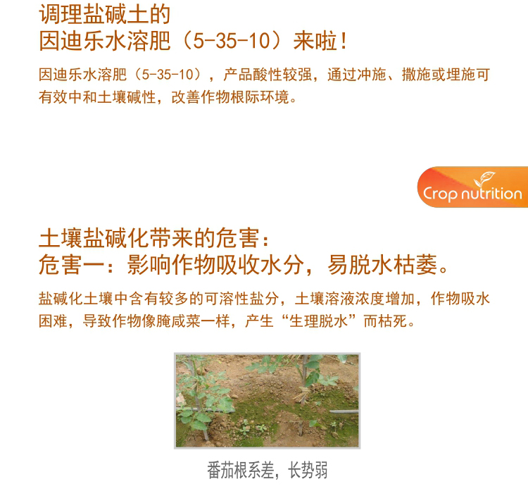 因迪樂有機鹽堿土調(diào)理水溶肥1_03.jpg 因迪樂有機鹽堿土調(diào)理水溶肥1_03.jpg