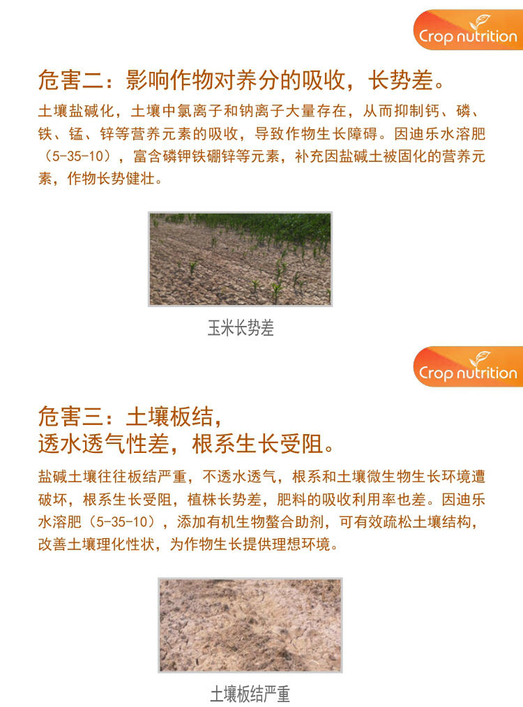 因迪樂有機鹽堿土調(diào)理水溶肥1_04.jpg 因迪樂有機鹽堿土調(diào)理水溶肥1_04.jpg