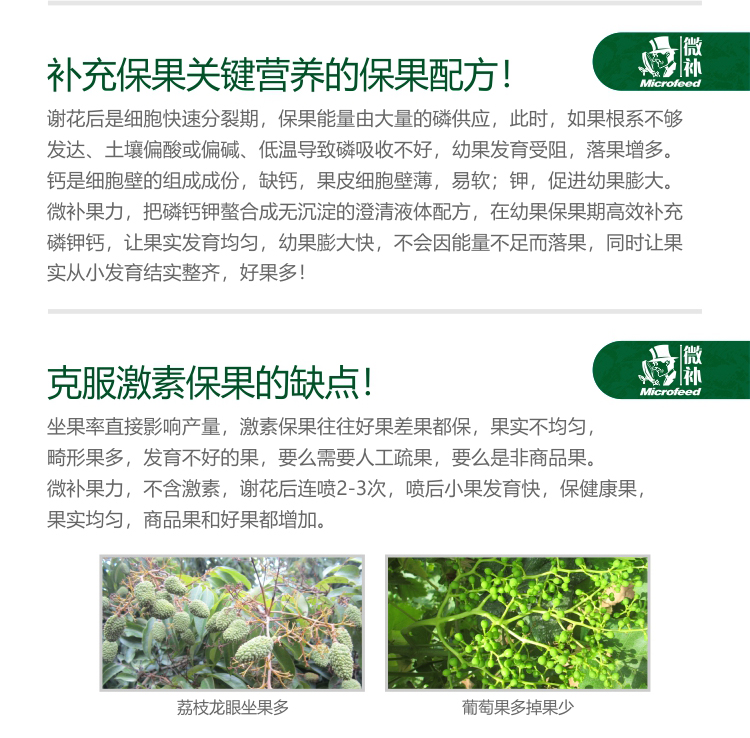 微補果力_02.jpg 微補果力_02.jpg