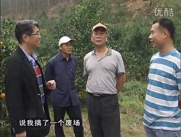 20160118珠江臺搖錢(qián)樹(shù)：貢柑用微補全年營(yíng)養方案，黃樹(shù)翻身還高產(chǎn)增果