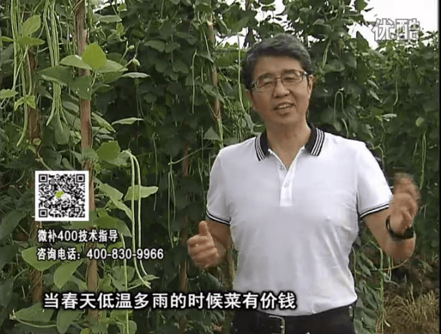 20160704珠江臺搖錢(qián)樹(shù)：蔬菜用微補方案，省肥藥又保產(chǎn)