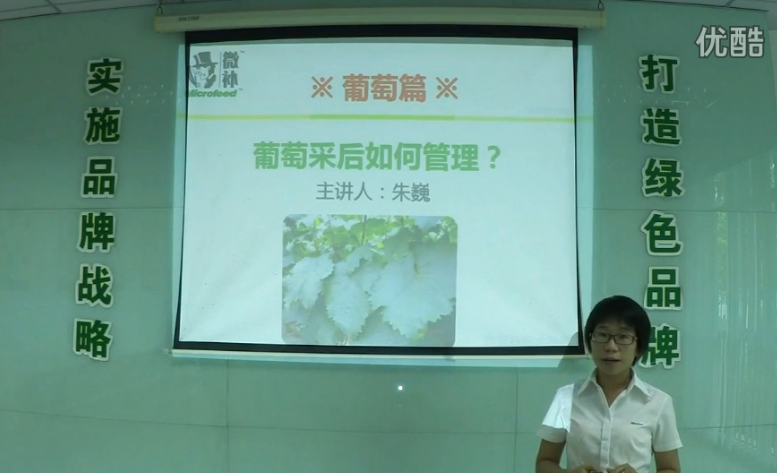 葡萄-采后恢復樹(shù)勢、來(lái)年花芽分化好.微補講座