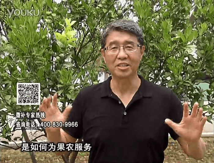 20160912珠江臺搖錢(qián)樹(shù)：針對果場(chǎng)面積、缺素營(yíng)養、設施管理、投入產(chǎn)出，微補做個(gè)性化定制服務(wù)