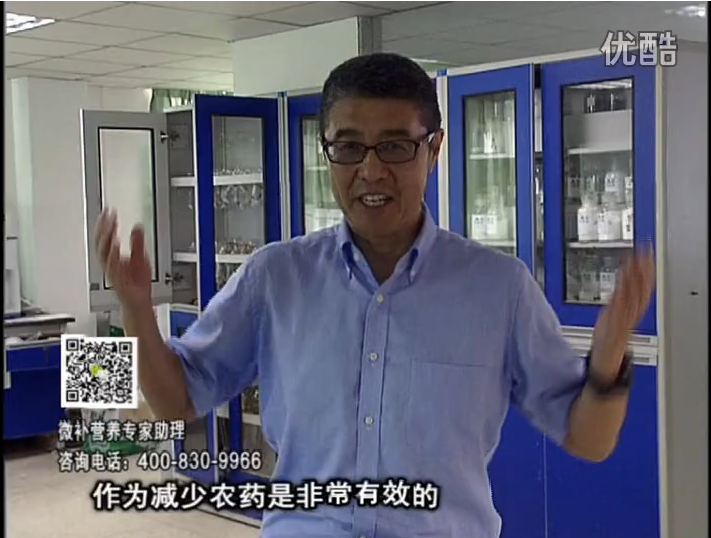 20161024珠江臺搖錢(qián)樹(shù)：種植作物調酸、平衡營(yíng)養、提高抗病力能大大降低病害發(fā)生和農藥使用量