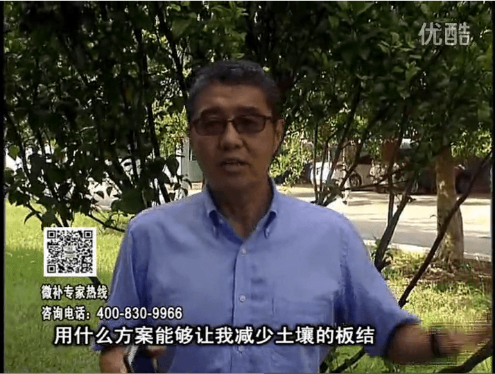 20161031珠江臺搖錢(qián)樹(shù)：減少化肥使用量、土壤少板結有辦法