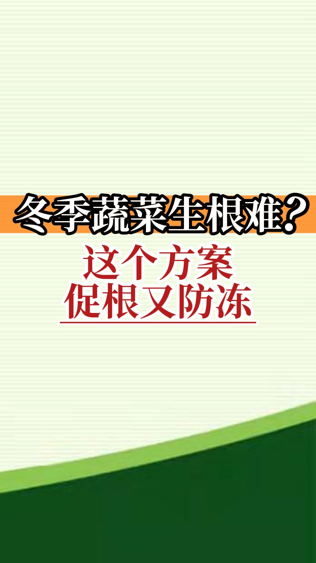 冬季蔬菜生根難？這個方案促根又防凍