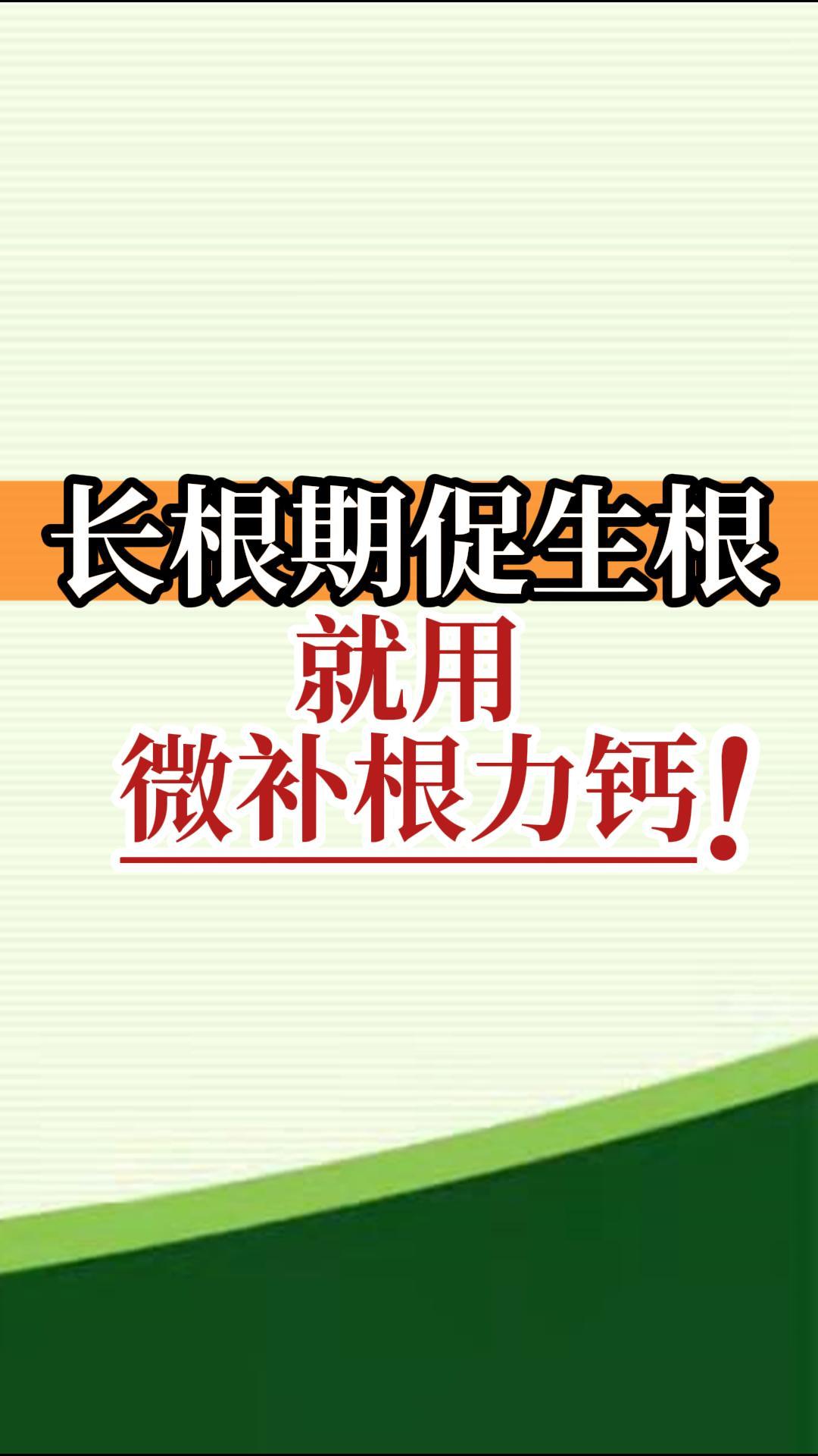 長根期促生根就用微補(bǔ)根力鈣！