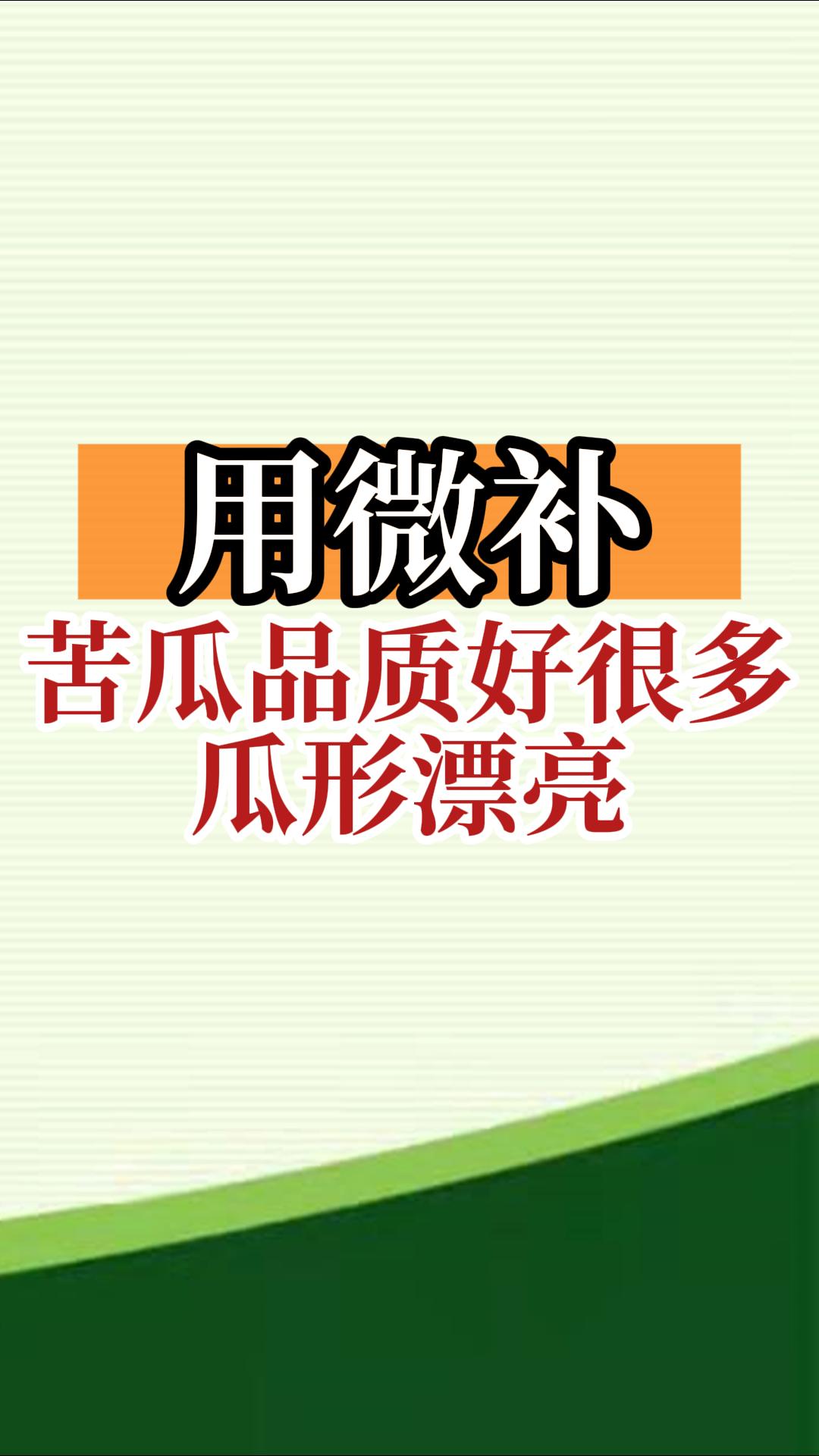 用微補，苦瓜品質好很多，瓜形漂亮