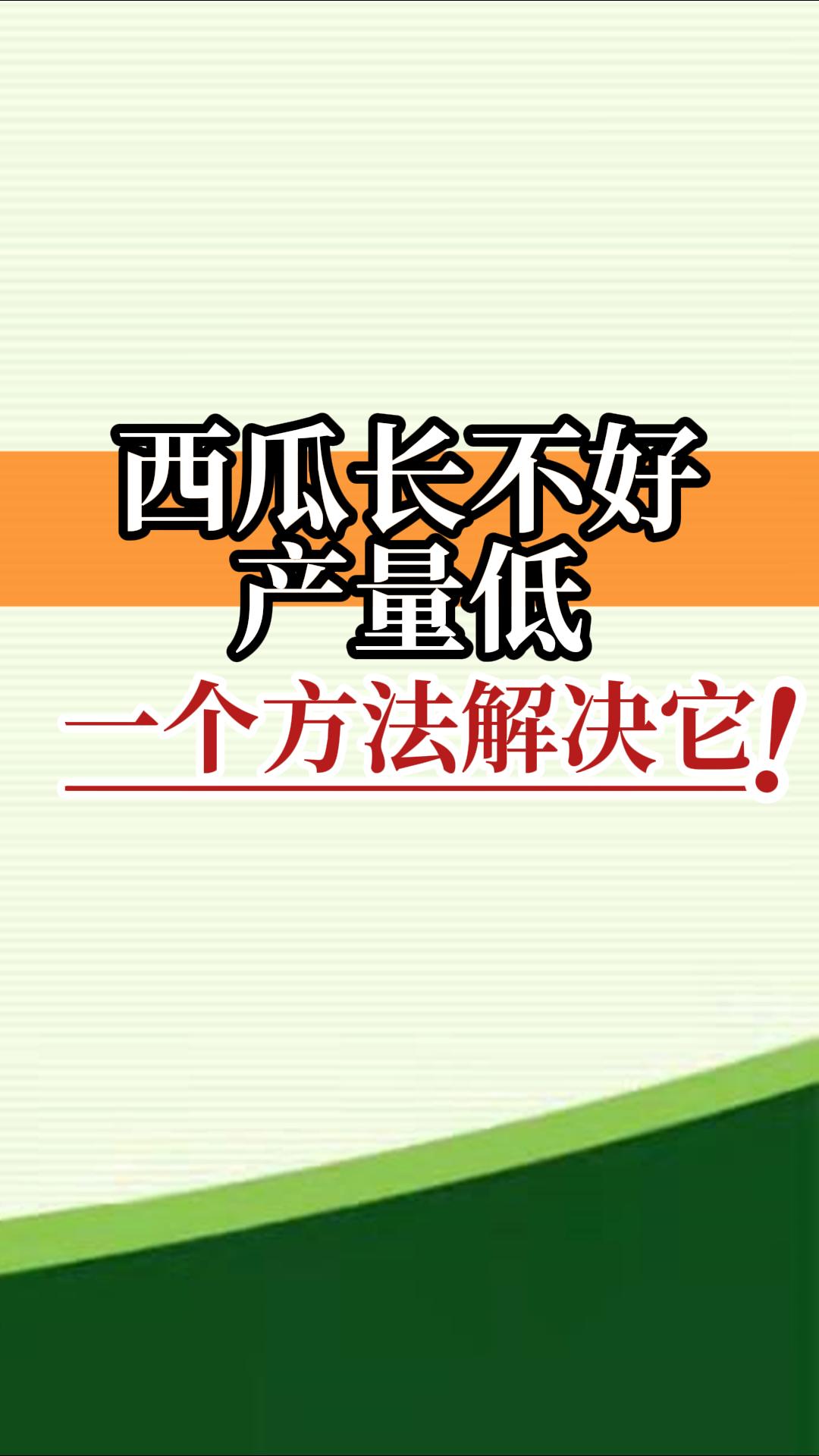 西瓜長不好產(chǎn)量低？