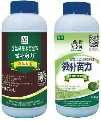 讓作物安全過冬的實用小妙招，速看