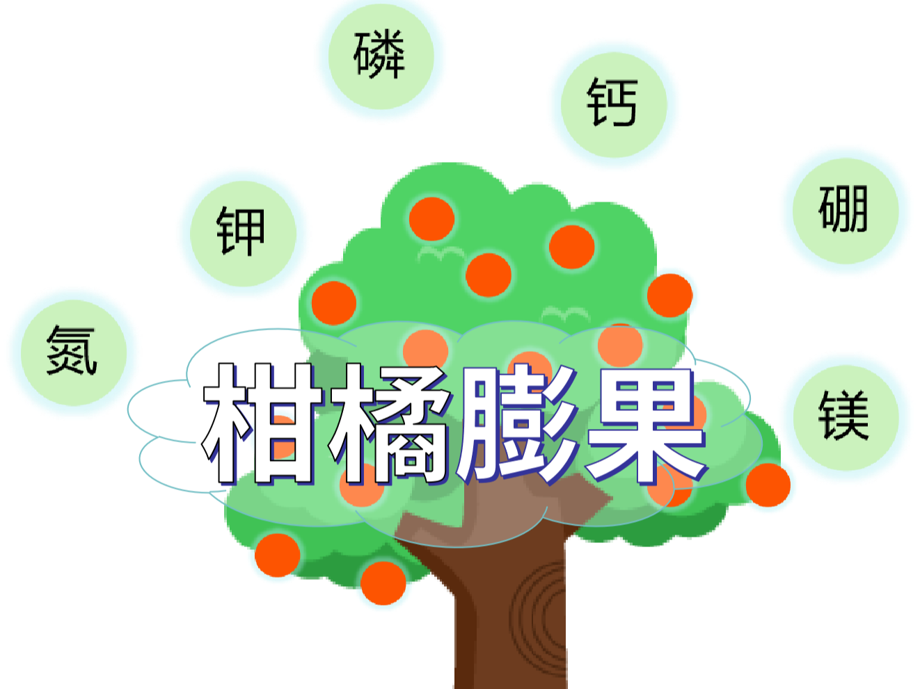 柑橘膨果慢？找準(zhǔn)原因，“對(duì)癥下藥”